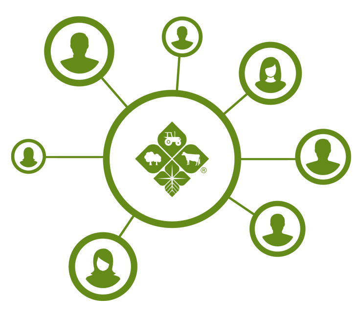 Green co-op visualization graphic of Farm Funders’s logo centered with varying shoots coming out from it showing different human icons. 