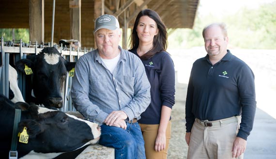 Farm Funders employees on site with a dairy farmer.