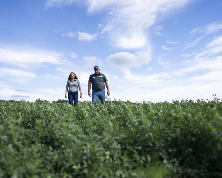 Adult female and adult male walking in alfalfa field with blue sky
