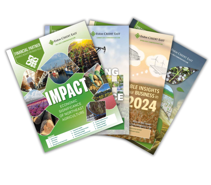 FPI Magazine Covers