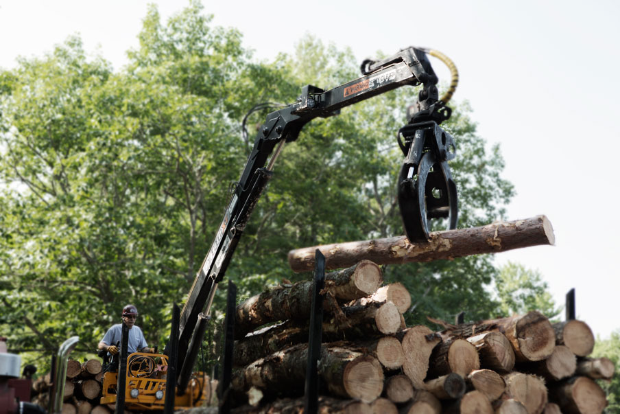 Timber harvesting in a forest