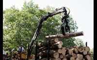 Timber harvesting in a forest