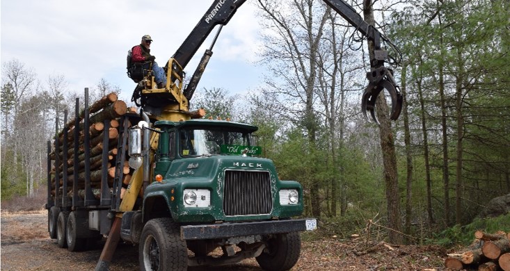 Large logging truck with worker using log picking controls