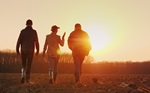 Farms walking in a harvested field at dusk