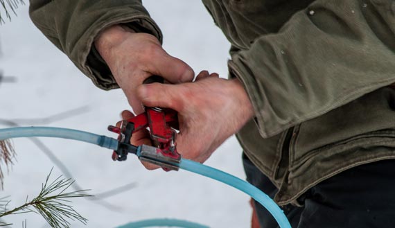 Close-up of man’s hands fixing a maple runner tube 
