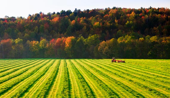 Farm tractor in a field during the fall harvest